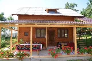 Гостевой дом Casa cu povesti Rosia Montana Roşia Montană-1
